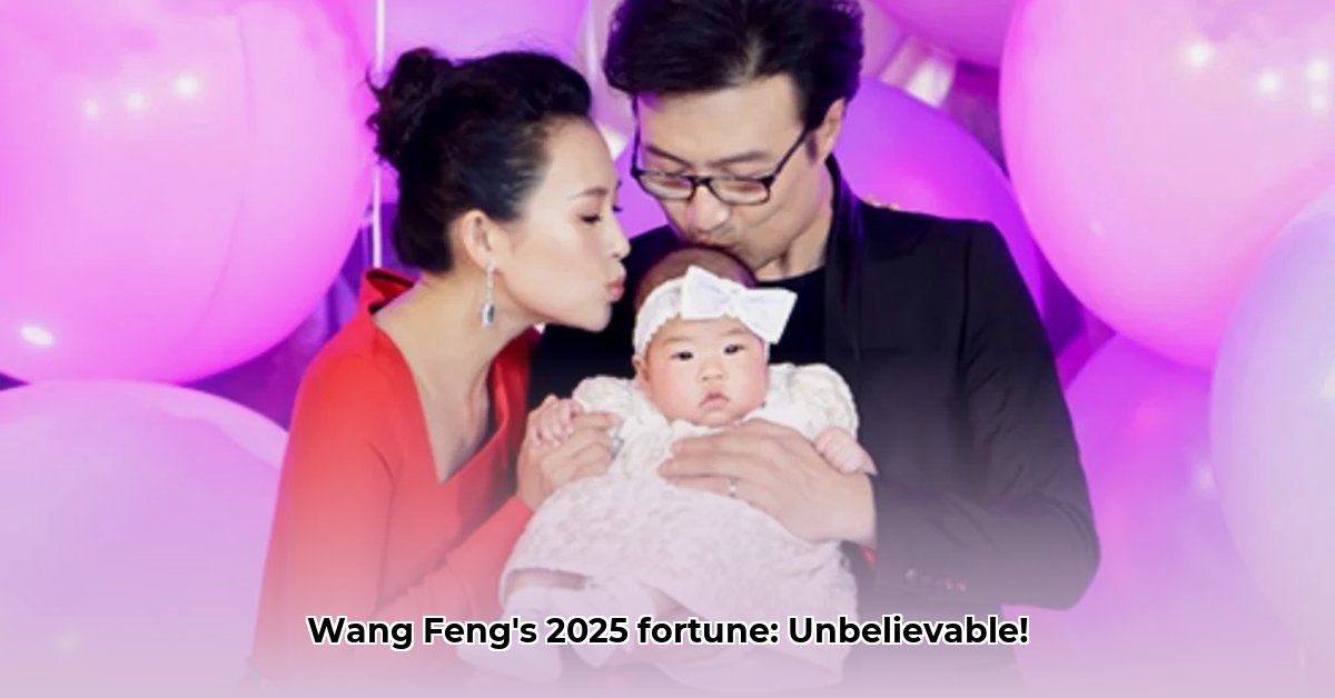 wang-feng-net-worth